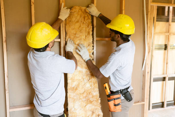 Best Home Insulation Services  in Woodcreek, TX